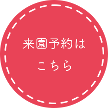 桜桃園でのさくらんぼ狩り来園予約