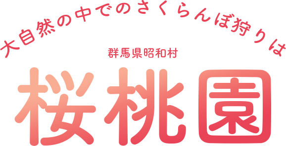 大自然の中でのさくらんぼ狩りは群馬県昭和村桜桃園