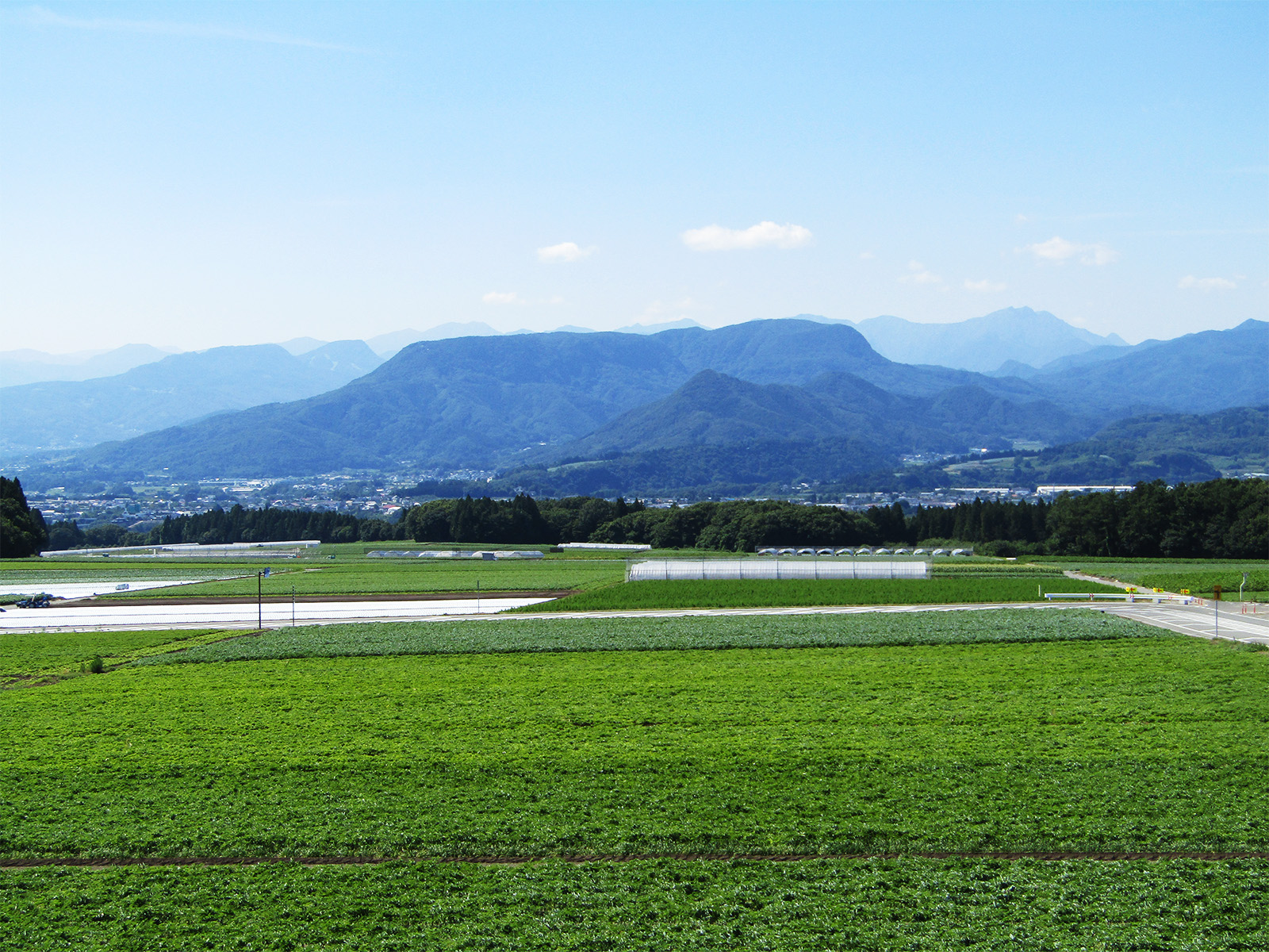 桜桃園絶景ビューポイント